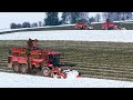 Winter sugar beet harvest - HOLMER TERRA-DOS T4-40 & TERRA-DOS T3 & Holmer AgroVital TDR