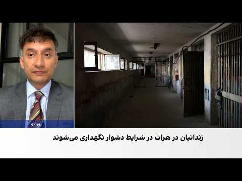 کوهدامنی: طالبان به بهانه‌های مختلف مردم را بازداشت می‌کنند
