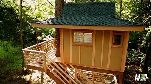 Time Lapse: Towering Treetop Teahouse | Treehouse Masters