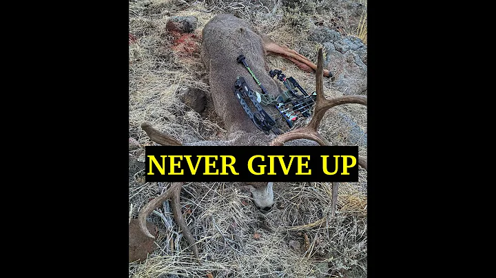2020 UTAH ARCHERY MULE DEER Pt 2 (DREAM BUCK DOWN!!!)