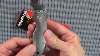 SPYDERCOS TITANIUM NATIVE 5 - GRAIL KNIFE