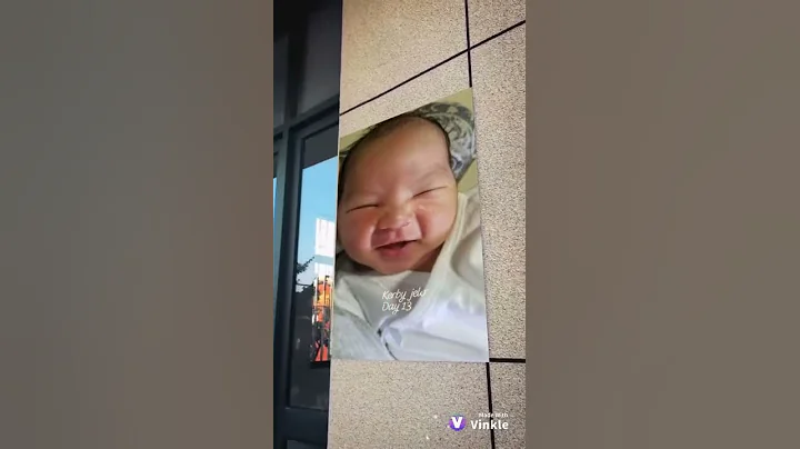 Vinkle Video