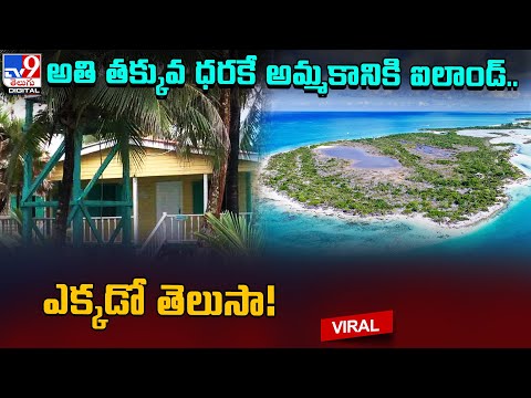 Island For Sale:అతి తక్కువ ధరకే అమ్మకానికి ఐలాండ్‌.. ఎక్కడో తెలుసా!@TV9TeluguDigital