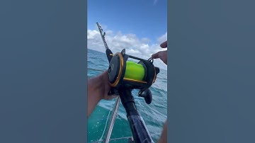 Thumbnail of Here Fishy Fishy