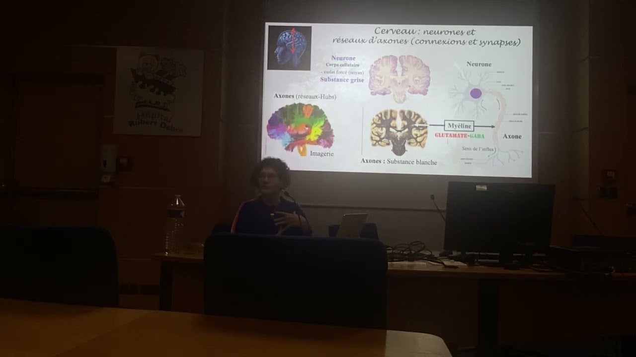 Comment s’organise la neurotransmission dans les multiples fonctions dans le cerveau et le corps ?