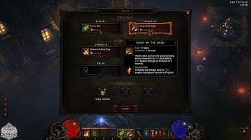 D3 Beta - WD Runes and Skills