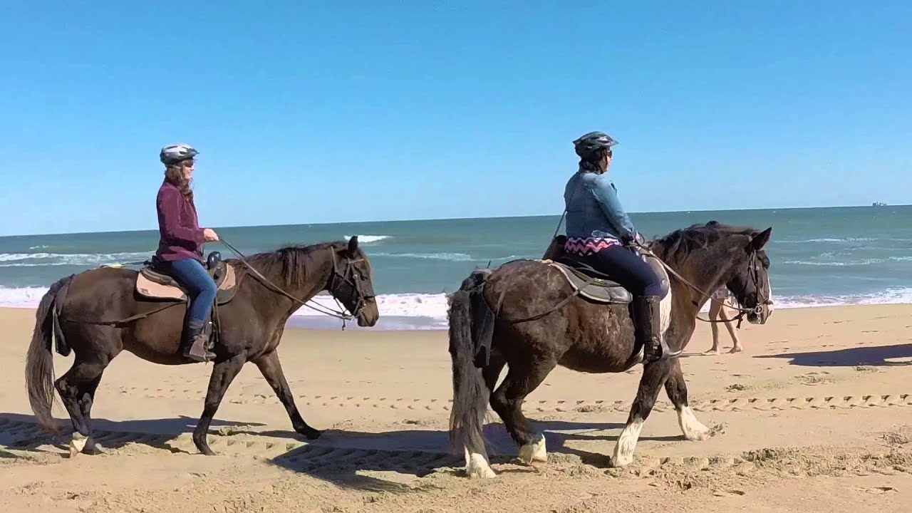 Virginia Beach Horseback YouTube