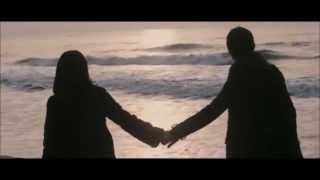 Pinback- Loro