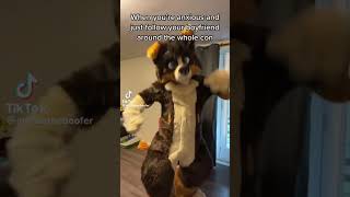 How to survive at a Furry Con! #furry #furries #furrys #fursuit #furryfandom #fursuiter #furrytrash