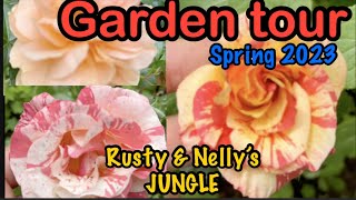 Garden Tour Hosta, Hydrangeas Smoke Bushes, Blue Spruce Spring 2023 Rusty Nellys Jungle