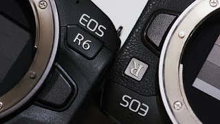 Canon EOS R & EOS R6 描写の違い【どっちが良いのか？】