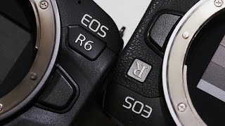 Canon EOS R & EOS R6 描写の違い【どっちが良いのか？】