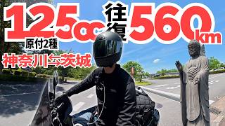 560km Round Trip on a 125cc! 2-Day Sightseeing Trip from Kanagawa