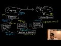 Electrodynamique quantique et diagrammes de feynman