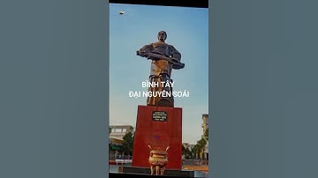 TRƯƠNG ĐỊNH | BÌNH TÂY ĐẠI NGUYÊN SOÁI | NHÂN TÀI ĐẤT VIỆT