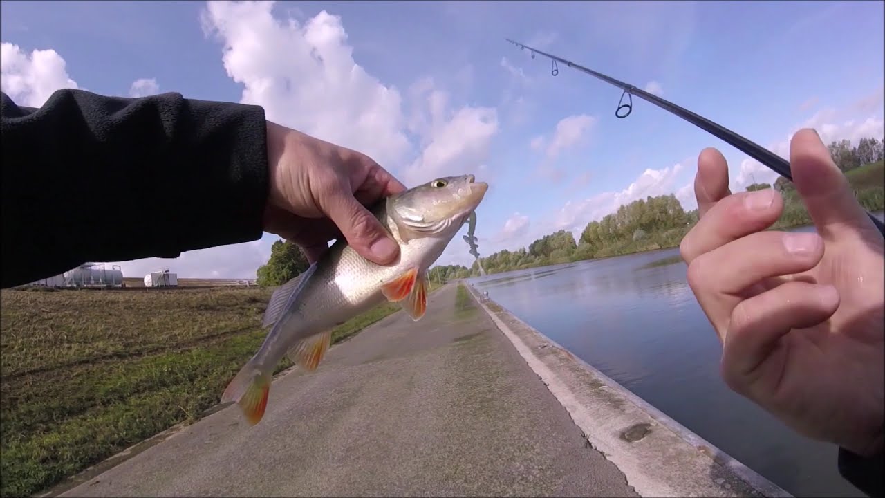 dropshot actie op de finesse hengel