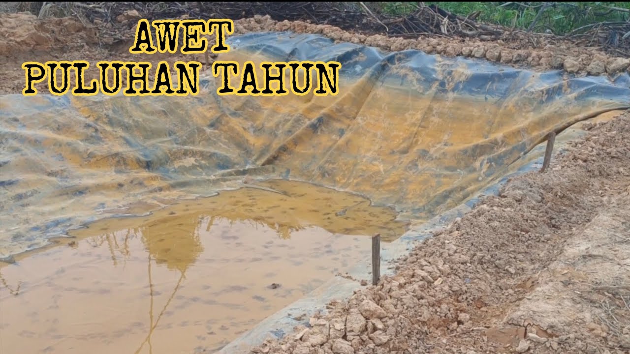 Pemasangan Terpal HDPE untuk kolam irigasi kebun buah 