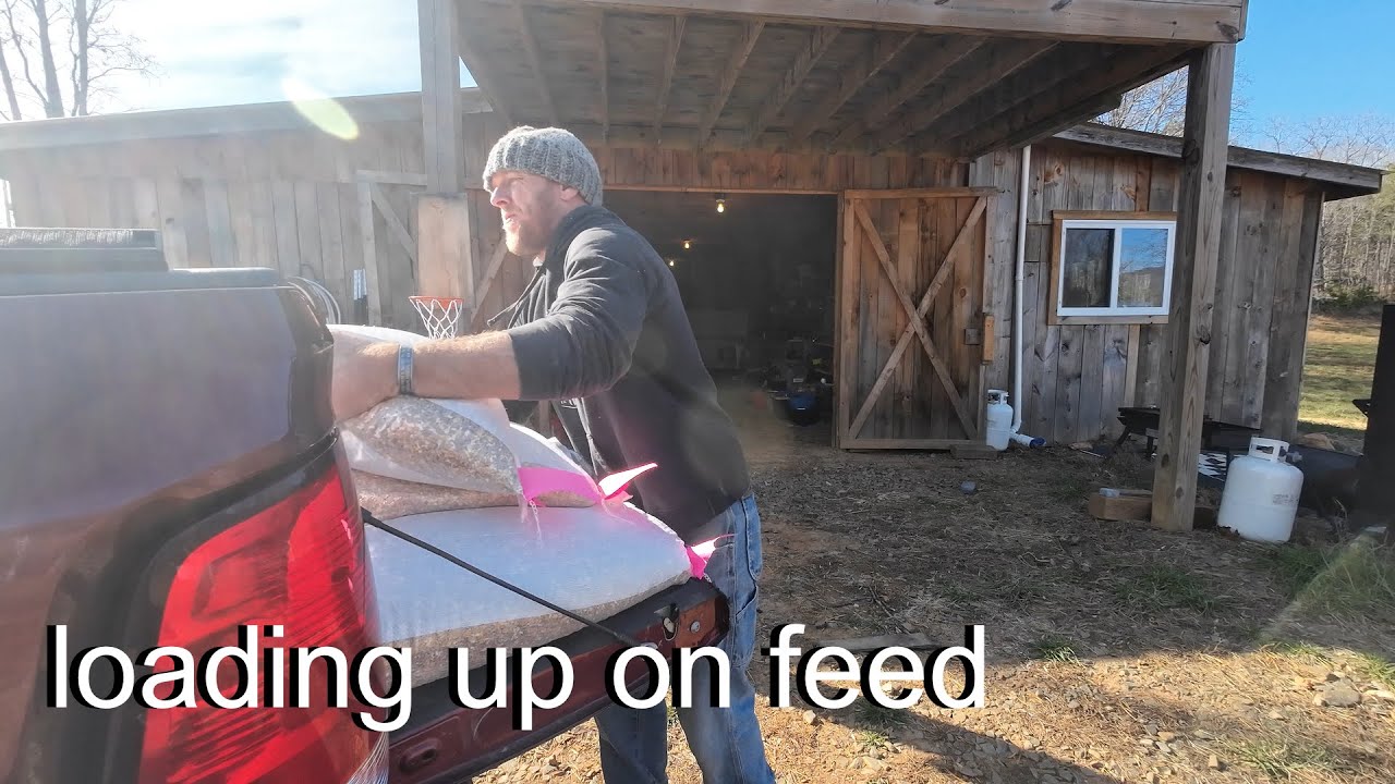 Запасаемся кормом на зиму | Перевозка корма и строительство более вместительной кормушки для свиней