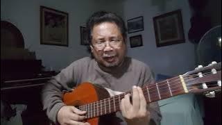 Let me try again cover guitar