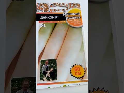 Самые лучшие дайконы: