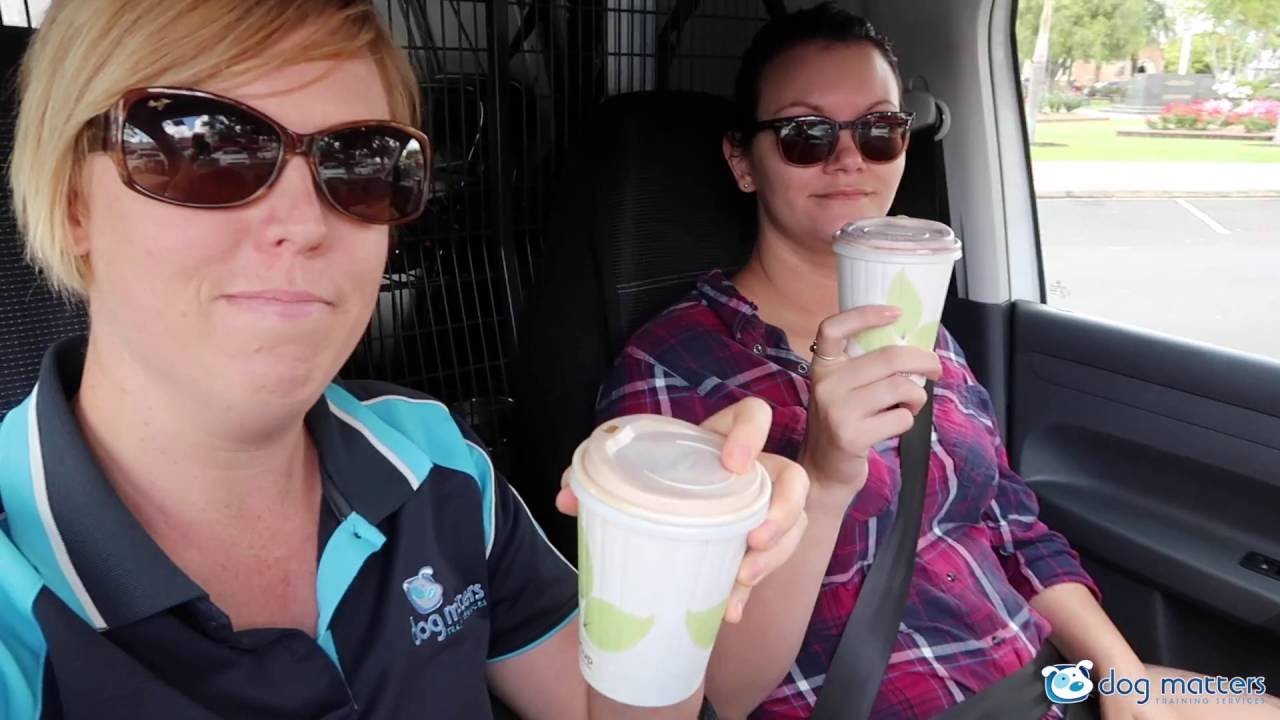 Day As A Dog Trainer Ep1