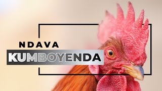 Ndava Kumboyenda - Shefu Mudhesve aka Abel Mauchi