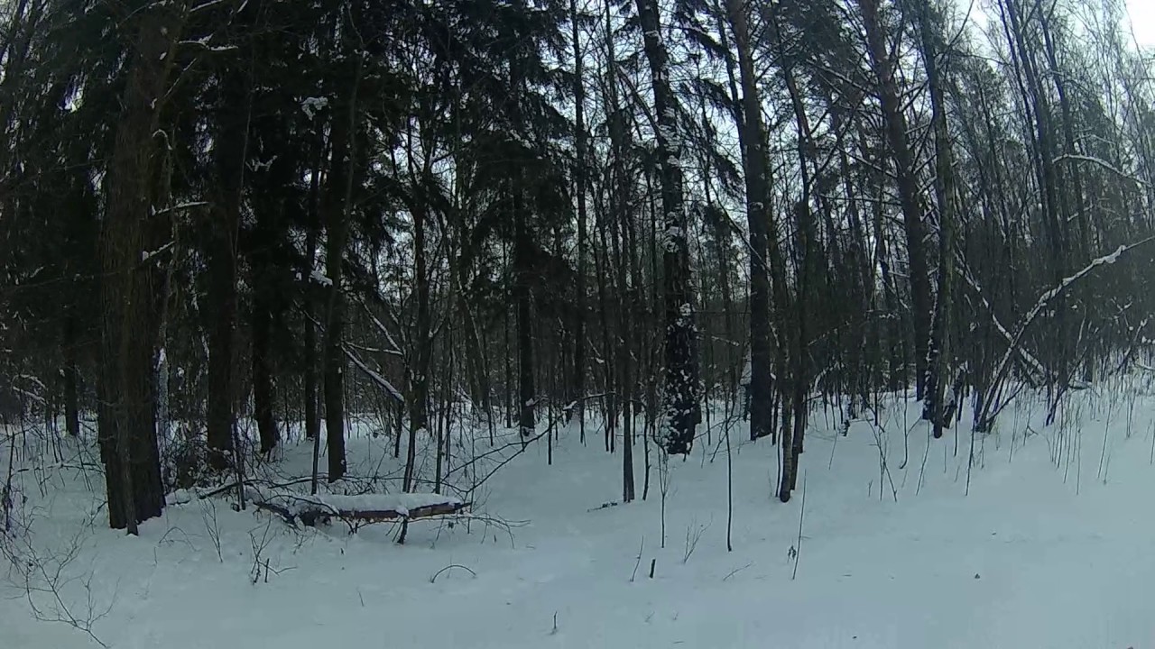 Там, на неведомых дорожках... - YouTube