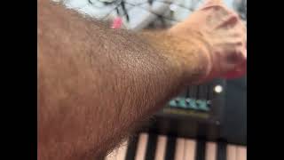 Dreadbox Typhon