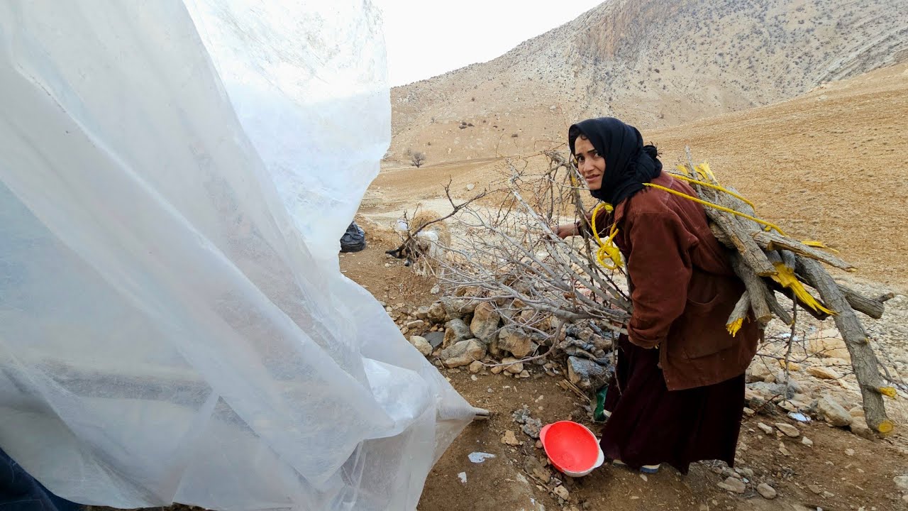 ۱۳ فوریهٔ ۲۰۲۶