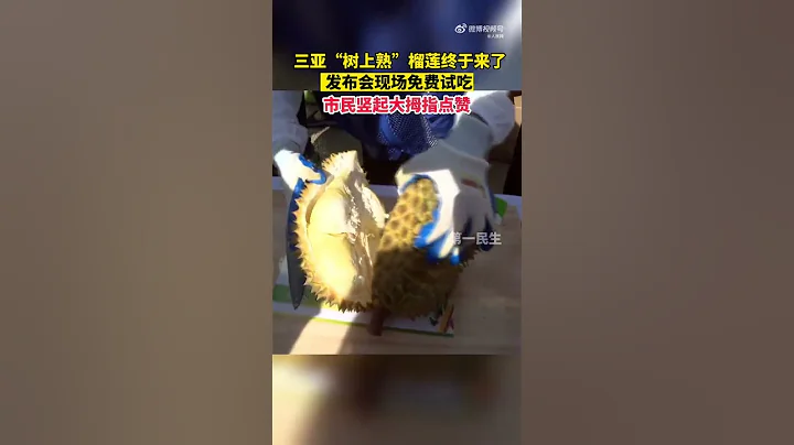 称“树上熟”养分风味更丰富 中国国产榴梿 上市了 - 天天要闻