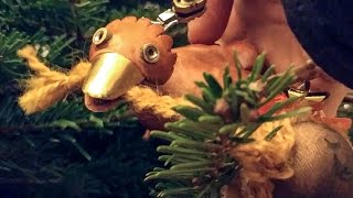 Dabchick climbs a Christmas tree