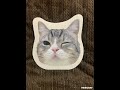もちまる日記のもちまる発見した😆