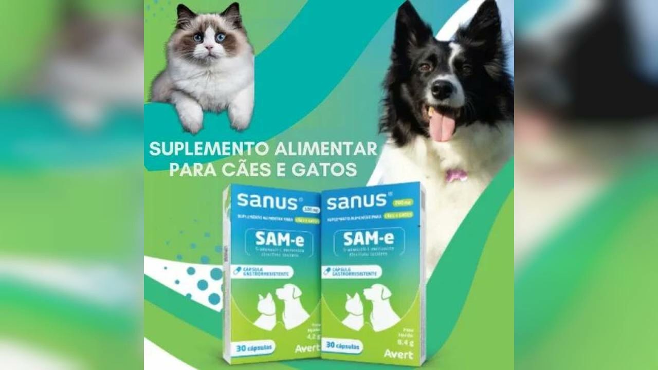 Review: Sanus 200 Mg Suplemento Alimentar Para Cães E Gatos | Avert