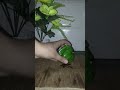 Veg momos recipe 🥟 #trending #ytshorts #explore #cooking #easyrecipe #asmr #foodshorts #food #shorts