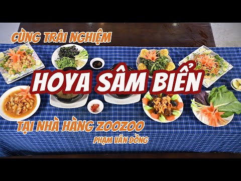 Video Gọi hết MENU HOYA SÂM BIỂN tai Nhà Hàng ZOOZOO Phạm... - youtube
