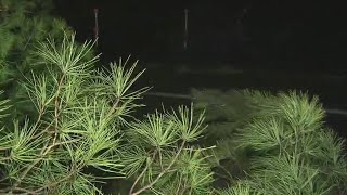 Downed Tree Blocks Road in Loomis