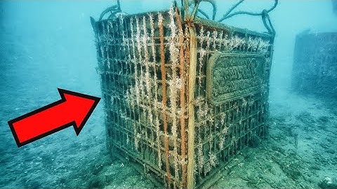 (FULL) Underwater Robot Discovered Strange Container Under The Sea But Inside Shocked Everyone