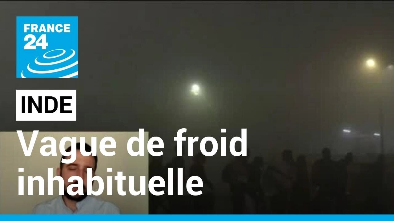 Vague de froid inhabituelle en Inde  New Delhi plonge dans un pais brouillard  FRANCE 24