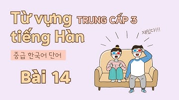 Từ vựng tiếng Hàn trung cấp 3 - Bài 14 | Đọc dịch song ngữ