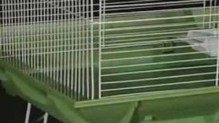 Clean Life Bird Cage Systems by Prevue Pet screenshot 2