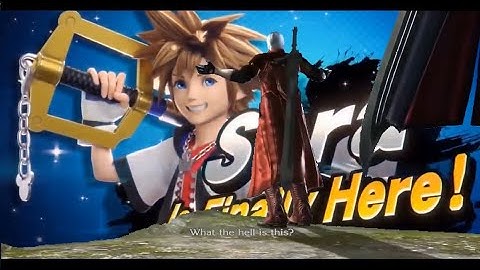 Dante “What the hell is this?” Smash Bros Ultimate Sora meme