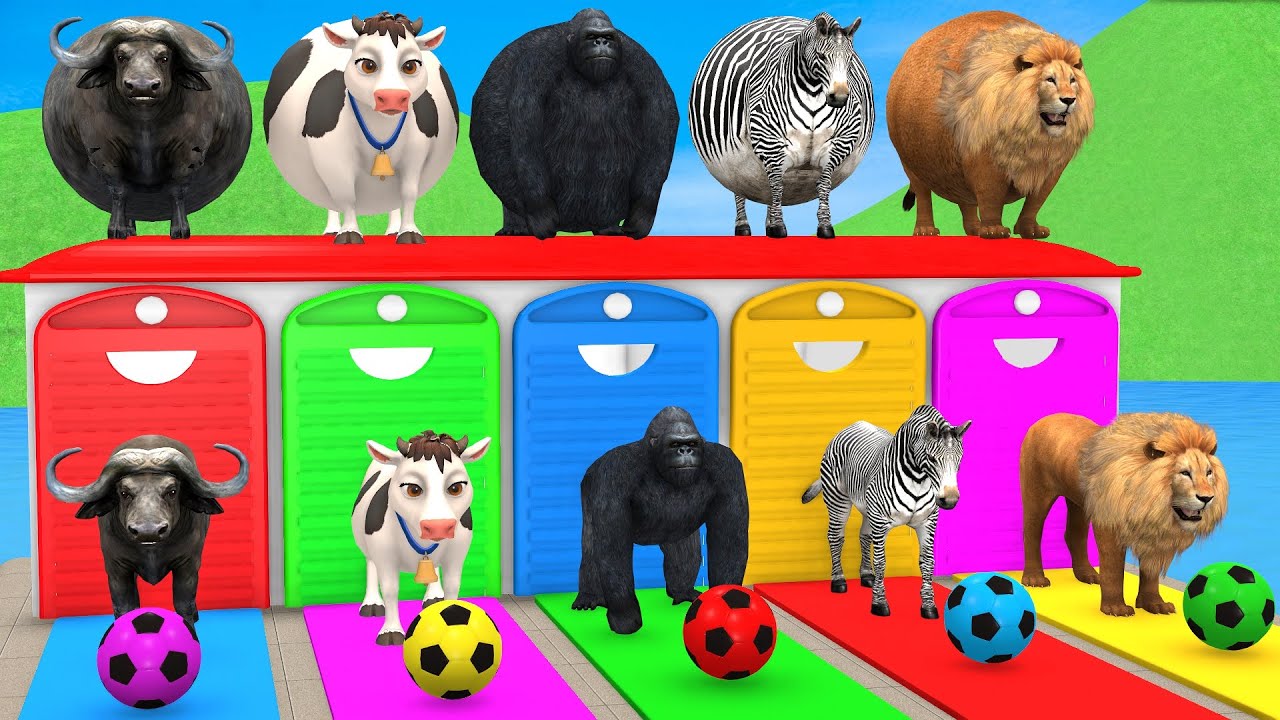 Long Slide Game With Cow Elephant Gorilla Hippopotamus Tiger 3d Animal Game Funny 3d Animals