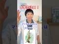 裸子植物が一瞬でわかる！マツのつくり