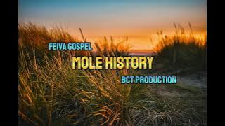 MOLE HISTORY - by FEIVA GOSPEL [BCT PROD] PRODUCED BY VENFORD