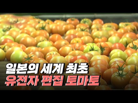 [핫클립] 자연의 유전적 돌연변이를 복사해 제품화하다 / YTN 사이언스
