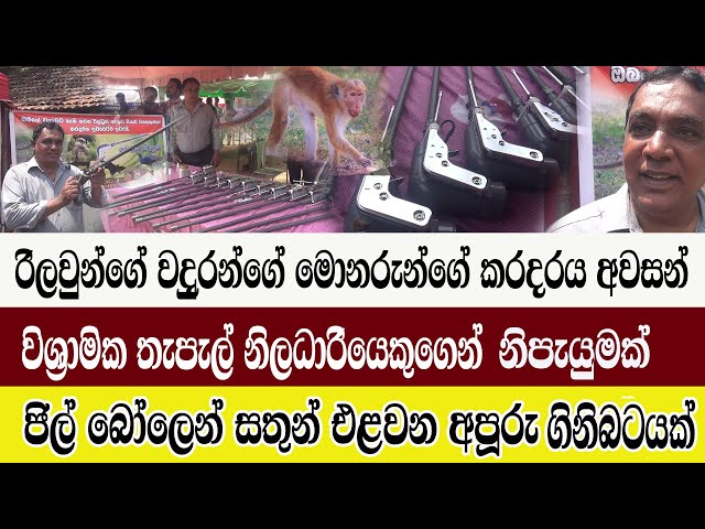 වදුරු රිලා මොනර සතුන්ගේ කරදරය අවසන්/ජිල් බෝලෙන් සතුන් එළවන  අපූරු තුවක්කුව/@ADARATANEWS