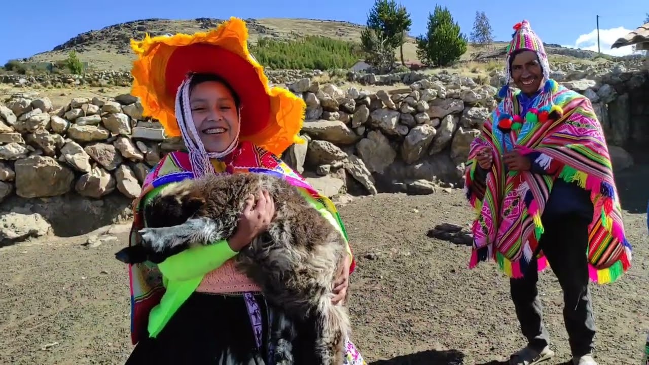 Ritual a las Ovejas🐑 Chita Ch'uyay 🏔️en un pueblo ganadero 🏔️🦙