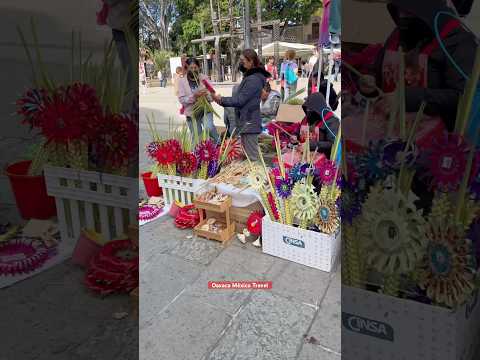 🌴🙏 Domingo de Ramos en Oaxaca: Tradición, Fe y Color 🇲🇽🇲🇽