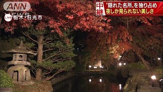 “隠れた名所”を独り占め・・・夜しか見られない美しさ(17/11/03)