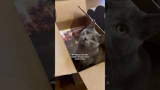 Celebrity y’all know I’d do anything to get this record in your hands !! #vinyl #wild  @SharpieUS Net Worth